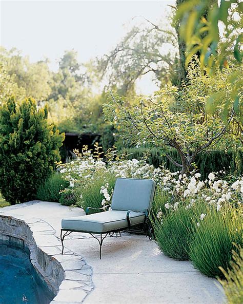 Garden Tips and Advice: Creating a Serene Outdoor Space